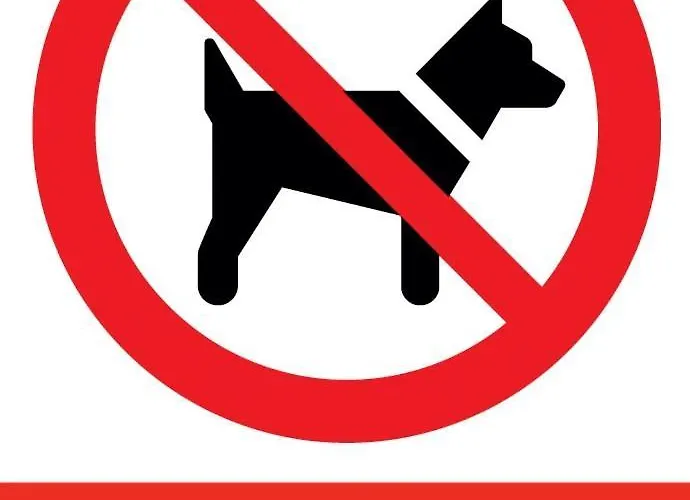 Appartamento Ceglana Park - Prywatny Parking - Piekne Osiedle - Nowe Luksusowe Mieszkanie Z Biurkiem Katowice